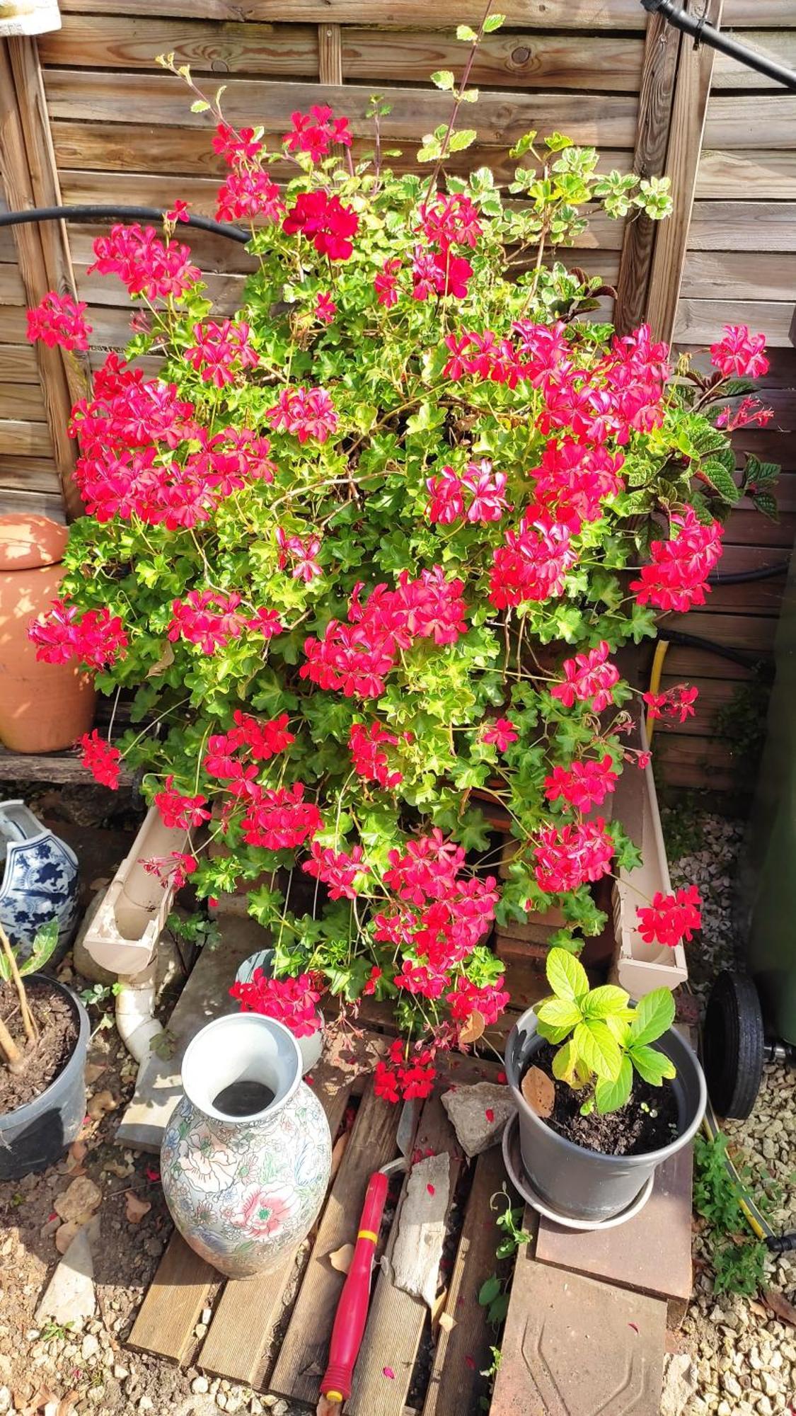 Un Deux Pieces Et Un Jardin A ווילג'וף מראה חיצוני תמונה