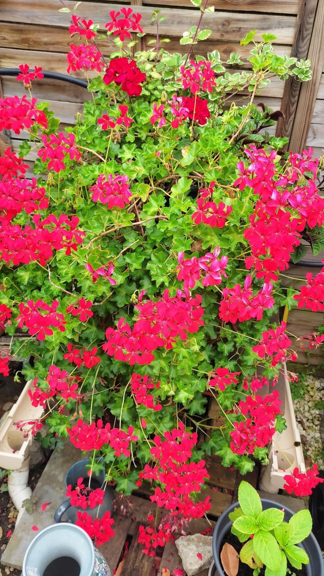 Un Deux Pieces Et Un Jardin A ווילג'וף מראה חיצוני תמונה